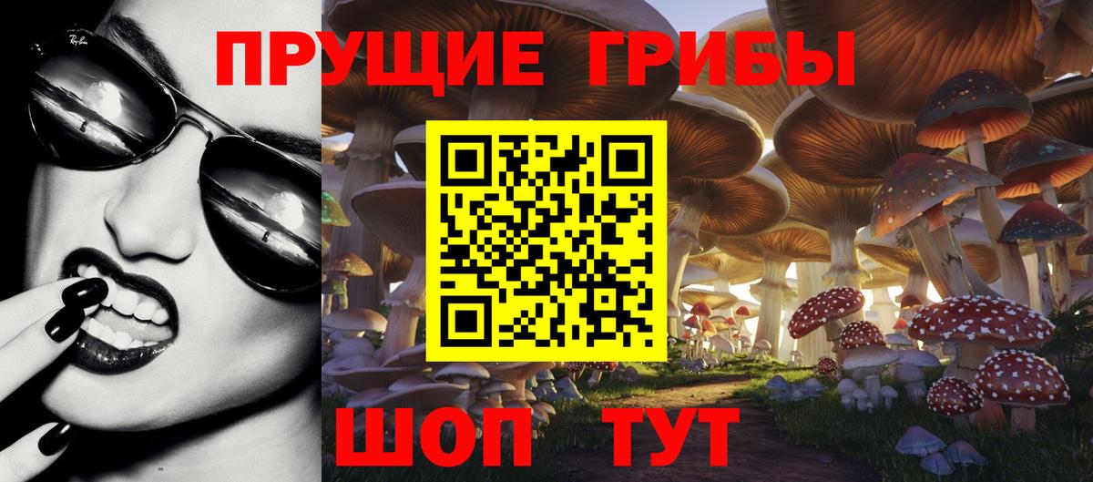 Галлюциногенные грибы мицелий  Вход с VPN  Верхняя Пышма 
